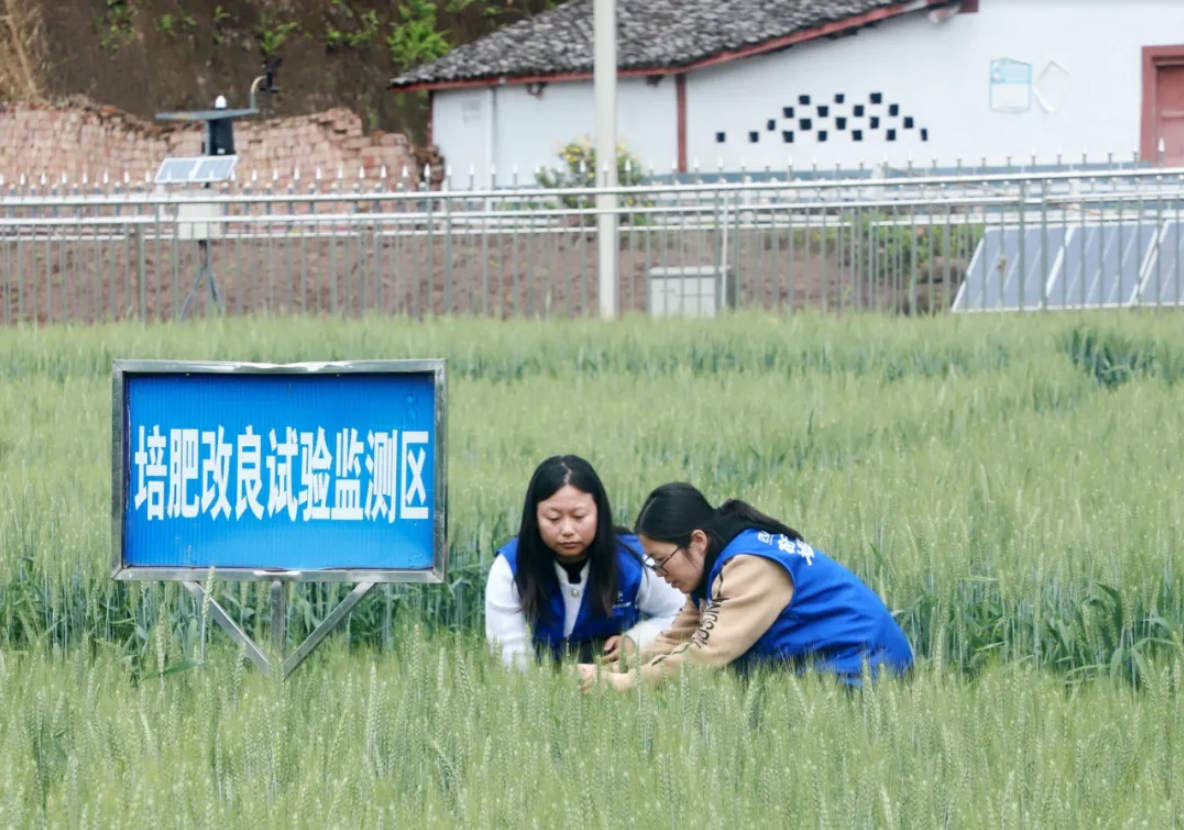 南方農(nóng)村報(bào)：四川美豐累計(jì)投入近1500萬元建成5所科技小院